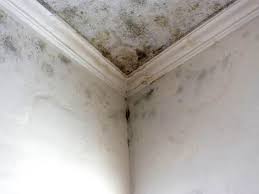 Best Mold Removal for HVAC Installations  in Massillon, OH