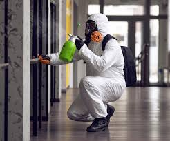 Best Black Mold Removal  in Massillon, OH